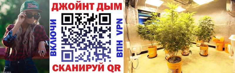 Бошки марихуана сатива  KRAKEN ссылки  Лукоянов  магазин  наркотиков 